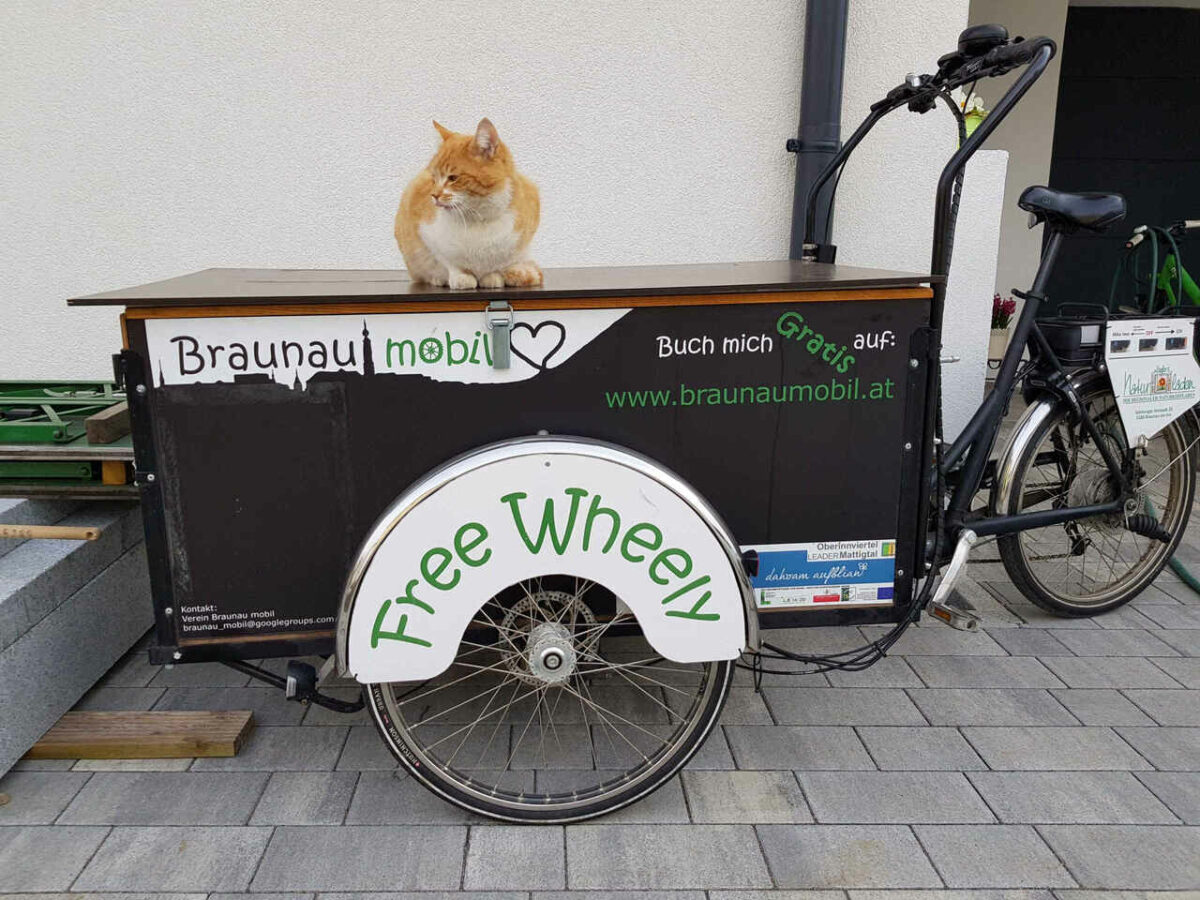 E-Lastenrad "Free Wheely" mit Katze 